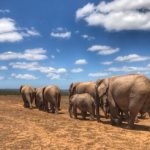 gallery2-2 gallery2-2